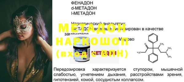 индика Богородицк