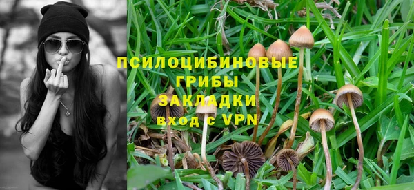 индика Богородицк