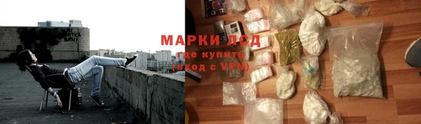индика Богородицк