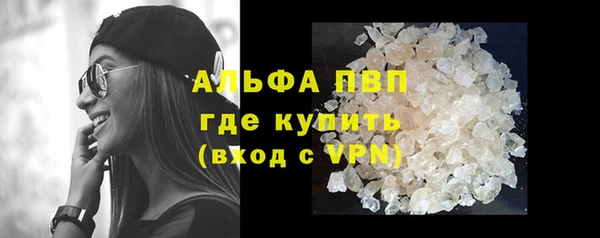 индика Богородицк