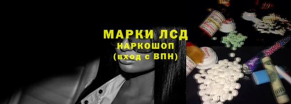 индика Богородицк