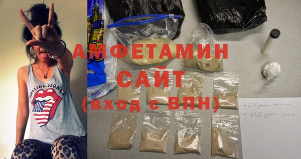индика Богородицк