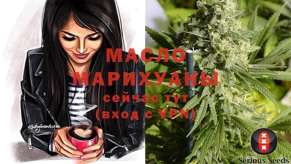 индика Богородицк