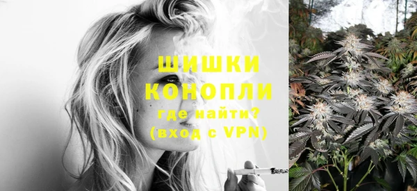 бошки Богданович