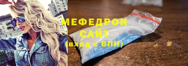 индика Богородицк