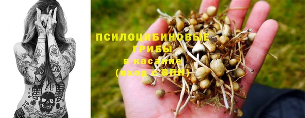 индика Богородицк