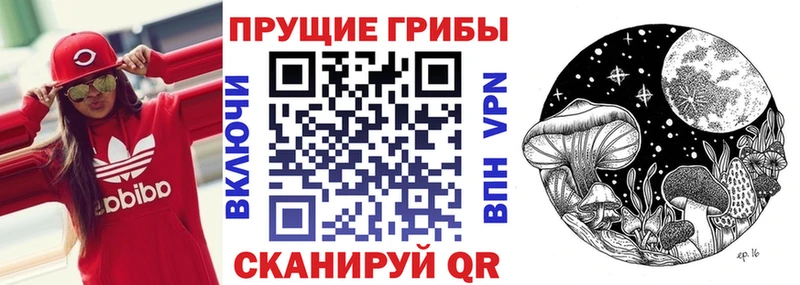 Псилоцибиновые грибы Psilocybe  Вышний Волочёк 